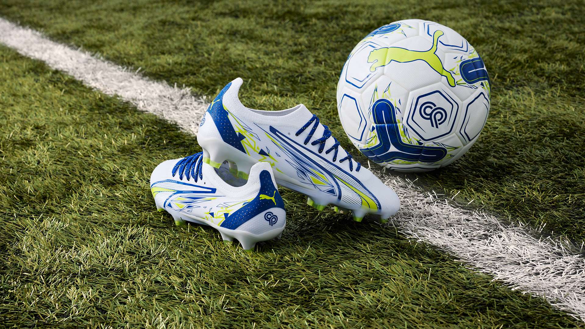 能捧起冠军 能捧起冠军